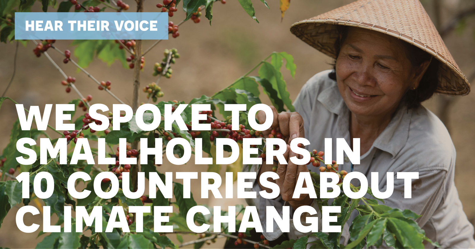 CASH Coalition Press Release: Farmer Voice Report  Highlights Smallholders’ Crucial Role in Advancing Climate Action and Regenerative Agriculture