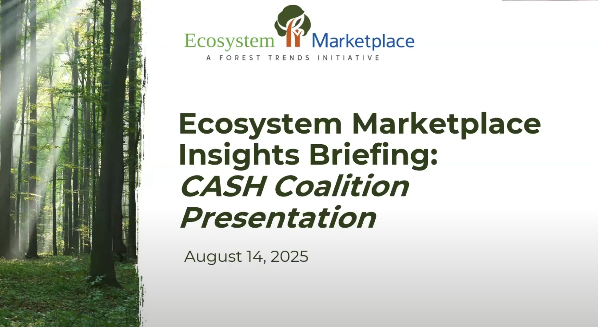Key Trends in the Voluntary Carbon Market with Forest Trends